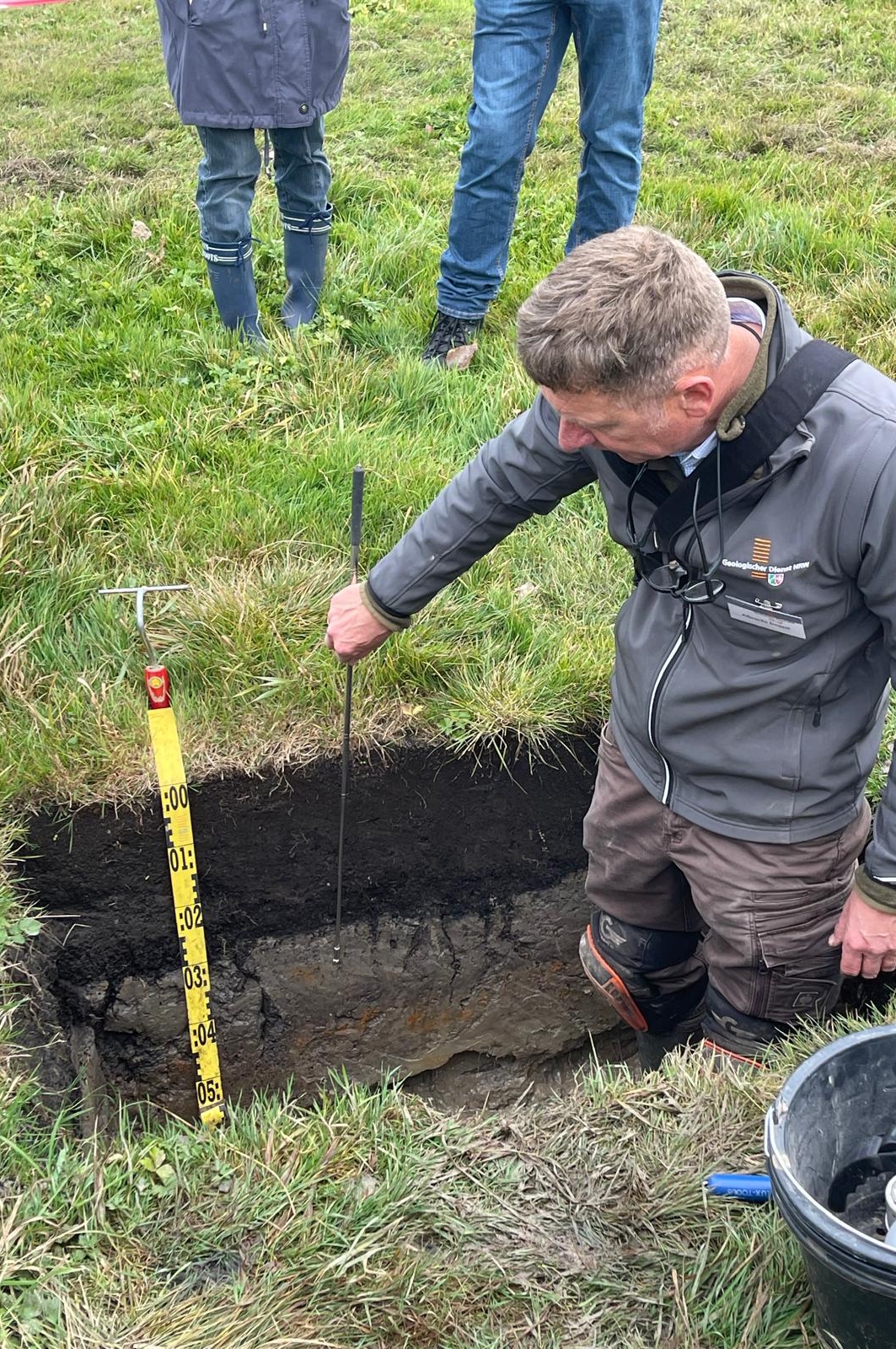 Bodenprofil in der Bastauniederung