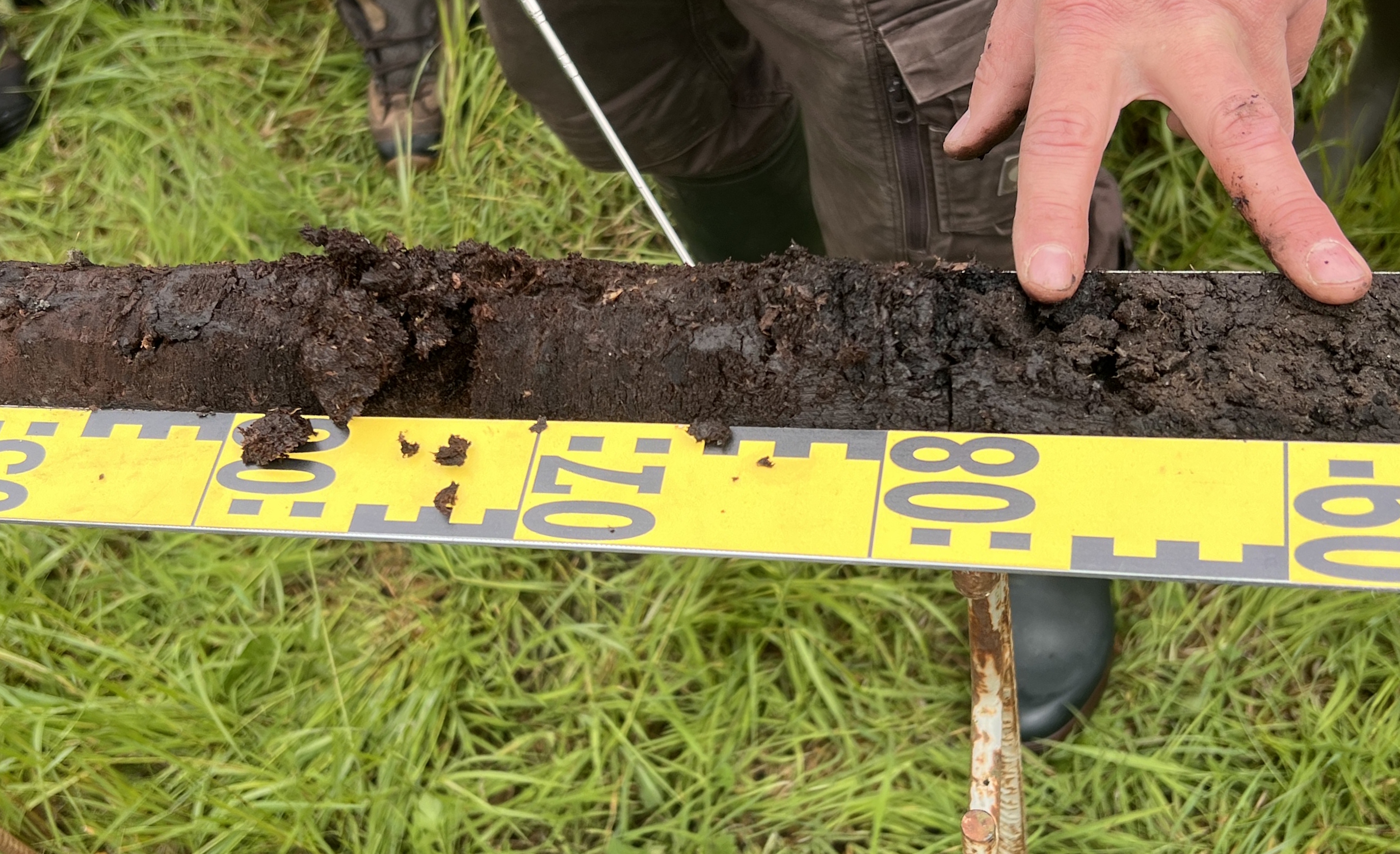 Bodenkundler zeigt auf den einzigen Bereich im Bodenprofil mit noch unzersetztem Torf.
