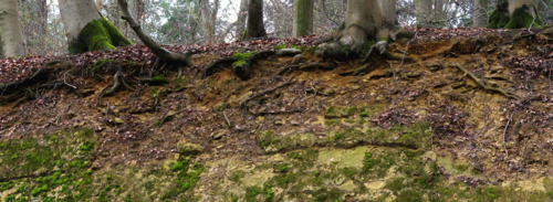 Paläoboden als Zeuge der Klimageschichte: Braunlehm (Terra fusca) aus Kalkstein in einem Steinbruch im Kreis Gütersloh