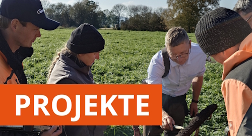 Projekte
