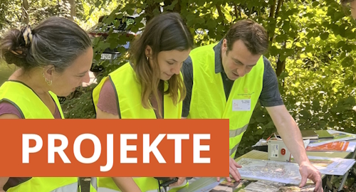 Projekte