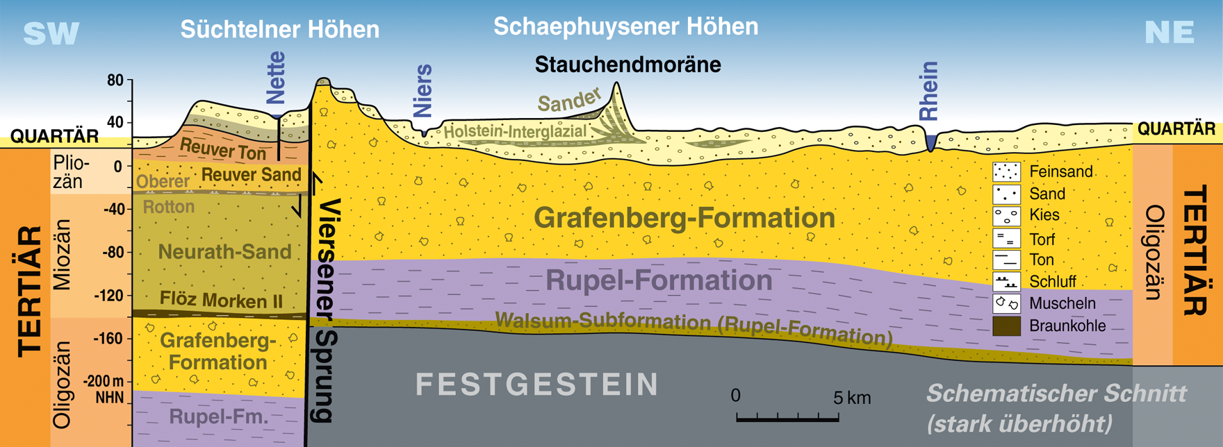 Rammkernbohrungen Krefelder Scholle: Schematischer Schnitt durch den Untergrund im Projektgebiet